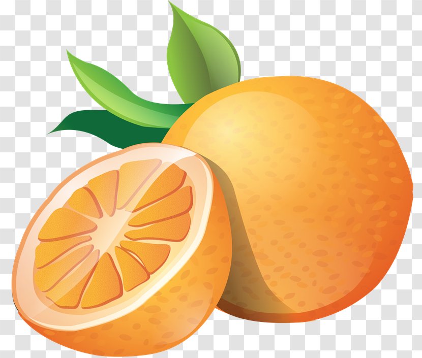Clip Art Openclipart Orange Download - Ingredient Transparent PNG