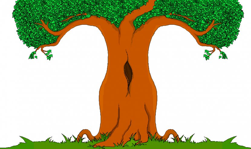 Cartoon Tree Drawing Clip Art - Royaltyfree - TREE CARTOON Transparent PNG