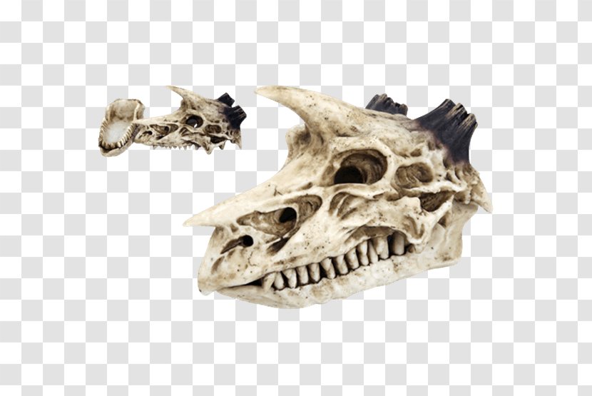 Censer Skull Skeleton Dragon Incense - Watercolor Transparent PNG