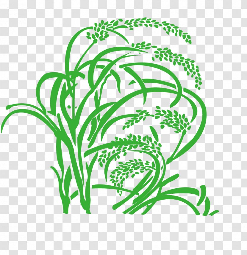 Grasses Clip Art - Flower - Vector Wheat Transparent PNG