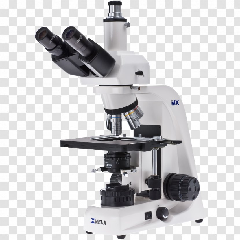 Stereo Microscope Biology Laboratory Optical - Instrument Transparent PNG