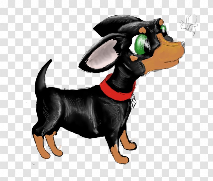 Dachshund Manchester Terrier German Pinscher Prague Ratter Puppy - Dog Transparent PNG