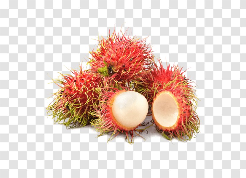 Fruit Soursop Pitaya Rambutan Horned Melon - Vegetable Transparent PNG