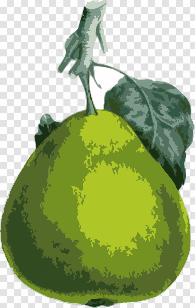 Pear Download Clip Art - Fruit Transparent PNG