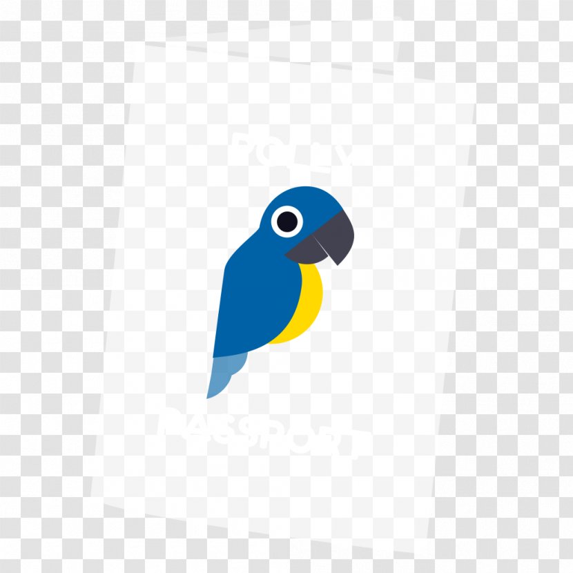 Parrot Bird Macaw Beak Toucan - Passport Transparent PNG