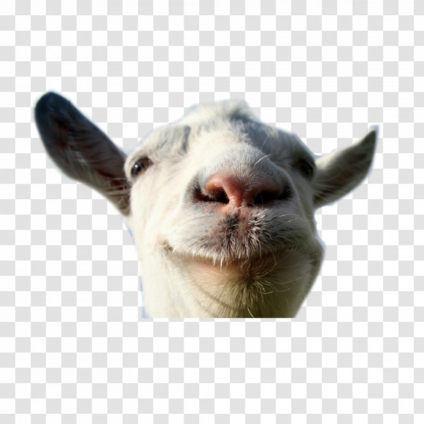 Goat Simulator Escape Space Xbox 360 - Livestock Transparent PNG