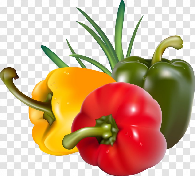 Capsicum Bell Pepper Tomato Chili Paprika - Beet Transparent PNG