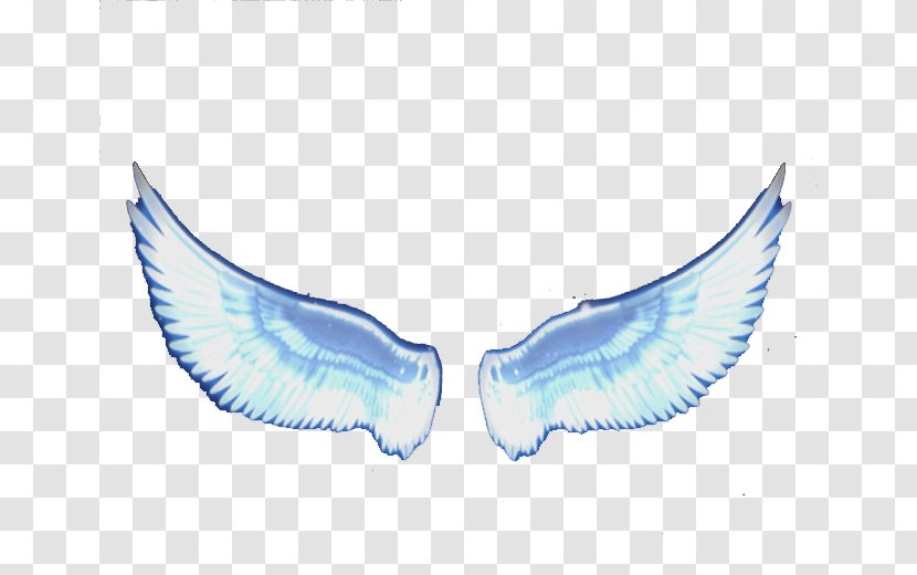 Angel Wing Feather - Symmetry - Wings Transparent PNG