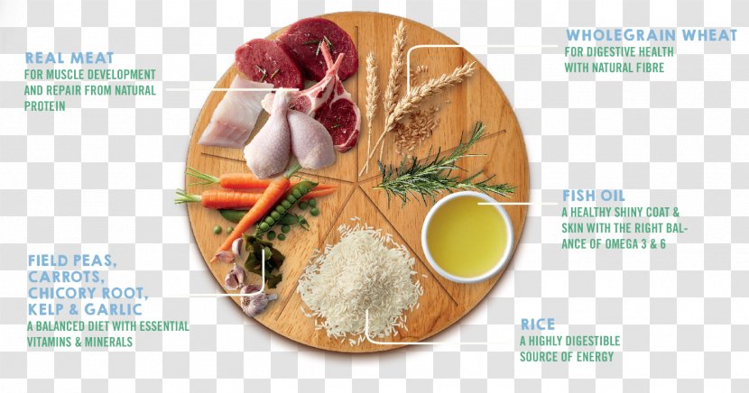 Ingredient Organic Food Natural Foods Chemistry - Stock - Cooking Ingredients Transparent PNG