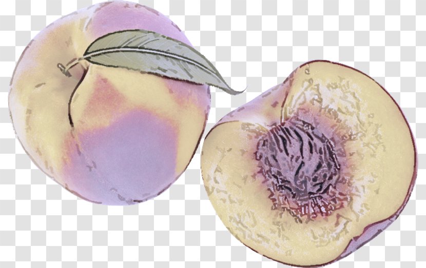 Vegetable Turnip Rutabaga Plant Food - Potato Fruit Transparent PNG