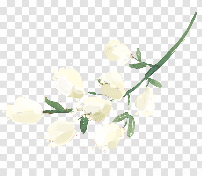 Petal Twig Flowering Plant Stem - Boabab Transparent PNG