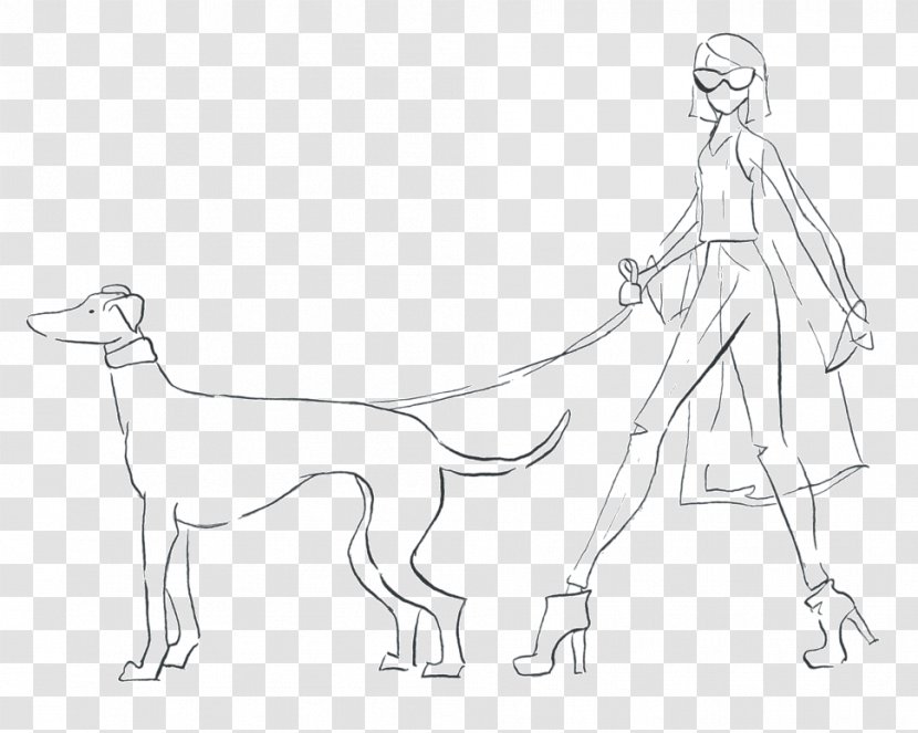 Dog Breed Sketch Human Drawing - Vertebrate - Adorable Button Transparent PNG