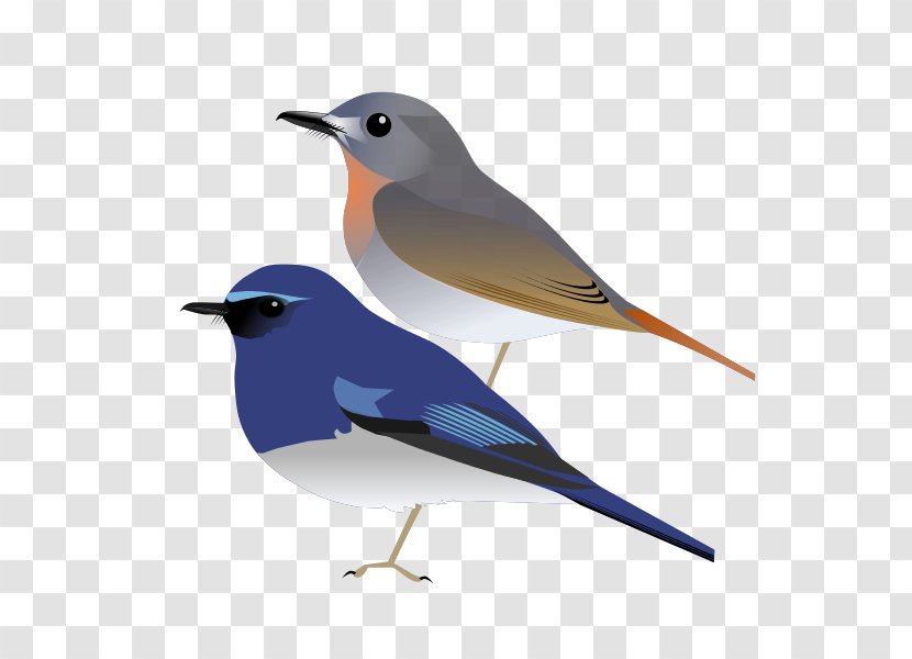 Common Nightingale Bird European Robin White-bellied Blue Flycatcher - Old World Transparent PNG