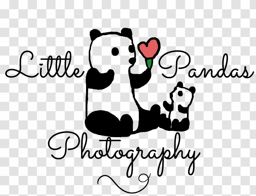 Logo Little Pandas Photography Bear Giant Panda Mammal - Flower Transparent PNG