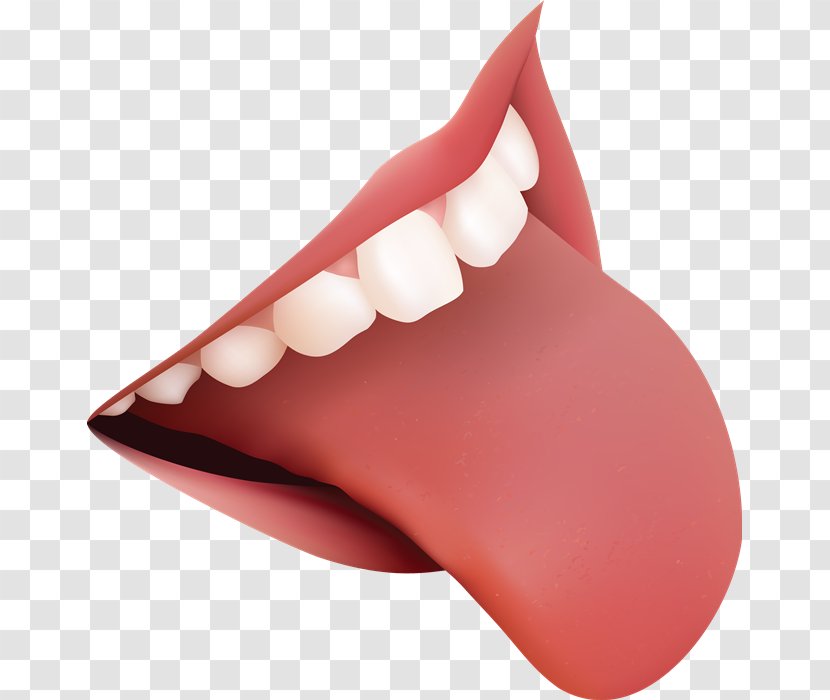 Tongue Clip Art Anatomy Taste Bud - Royaltyfree Transparent PNG