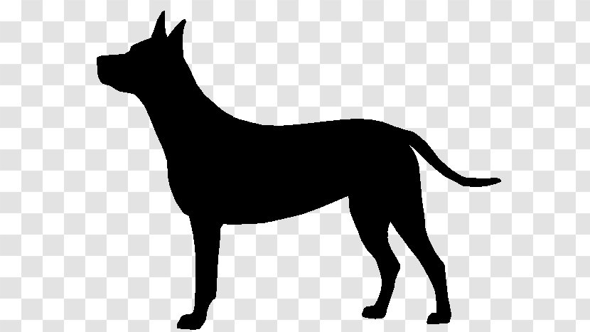 Newfoundland Dog Pet Paw Clip Art - Tail Transparent PNG