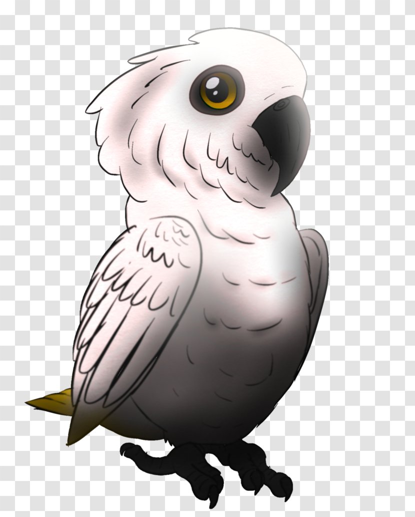 Owl Beak Bird Of Prey - Cartoon Transparent PNG