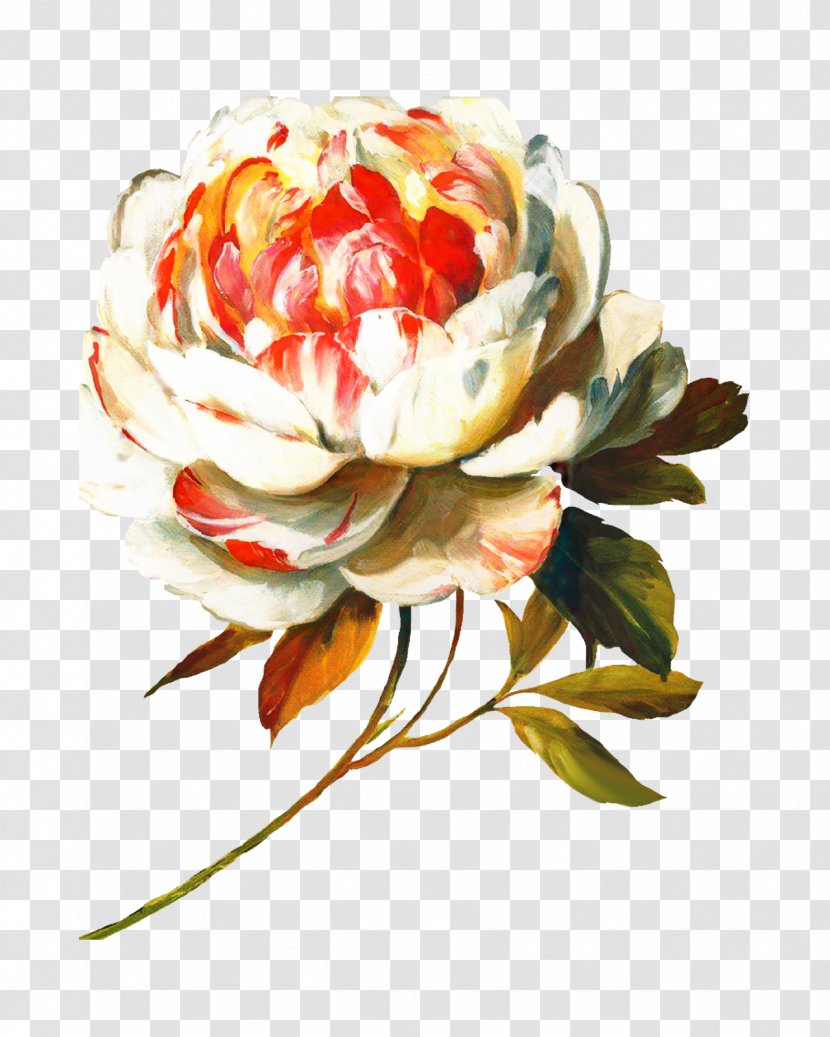 Oil Painting Flower - Bouquet - Garden Roses Rose Order Transparent PNG