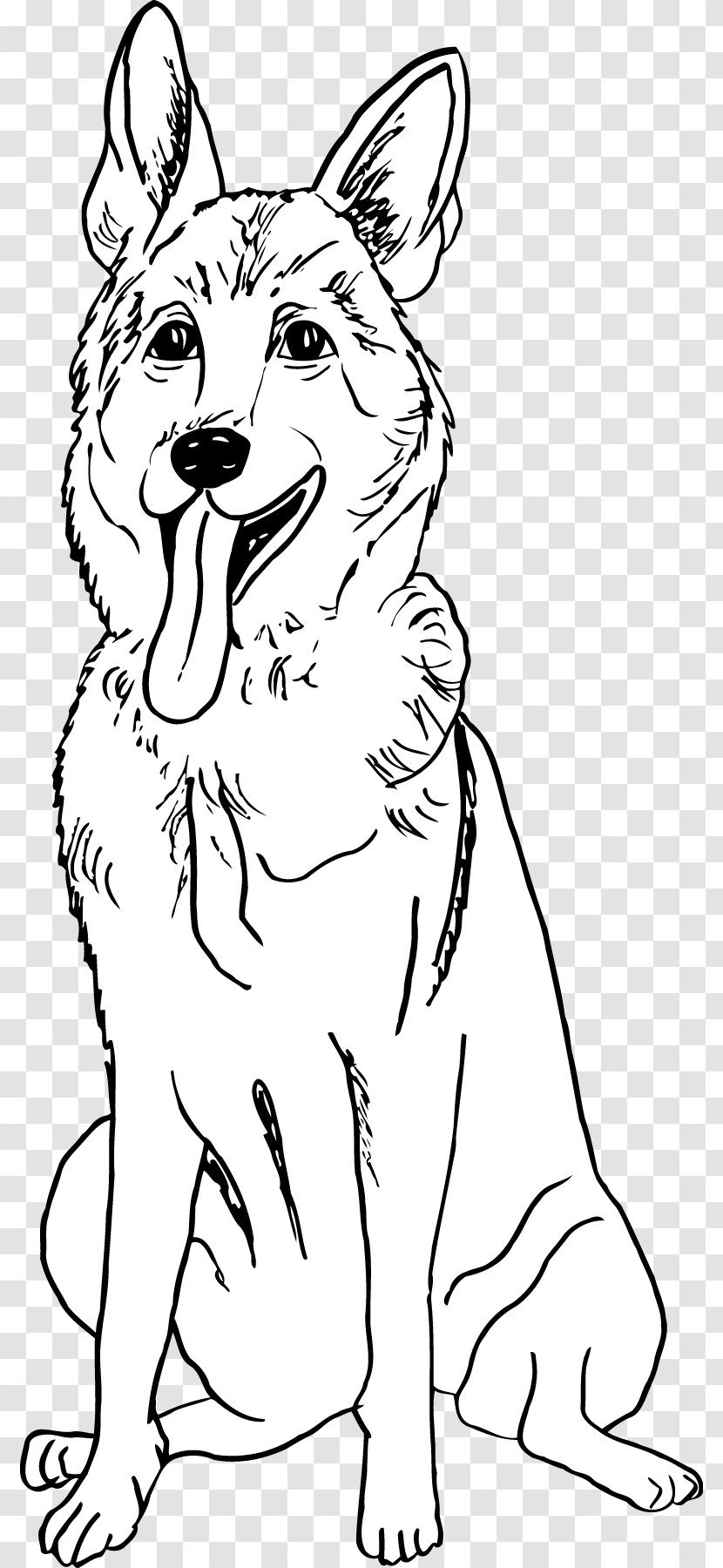 Dog Breed Red Fox White Line Art Transparent PNG