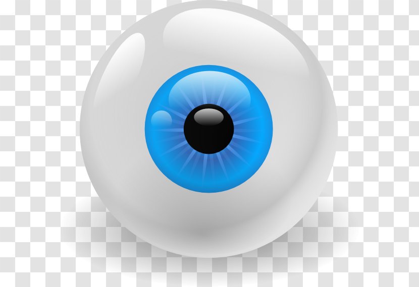 Eye Color Clip Art - Cartoon - Vector Transparent PNG