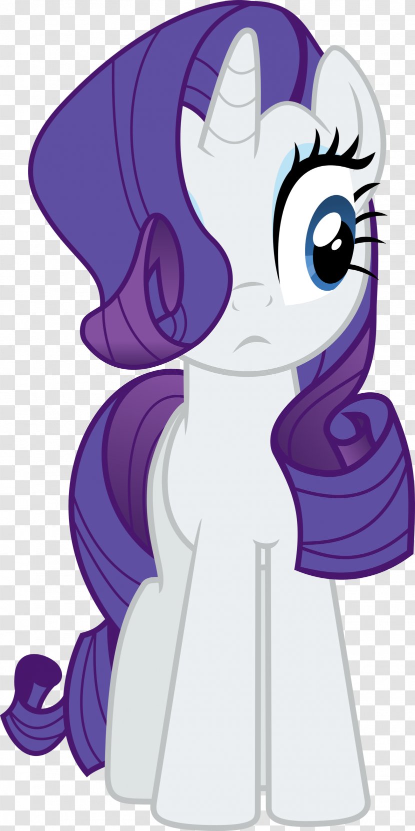 Rarity Twilight Sparkle Rainbow Dash My Little Pony - Frame - Colored Mane Transparent PNG