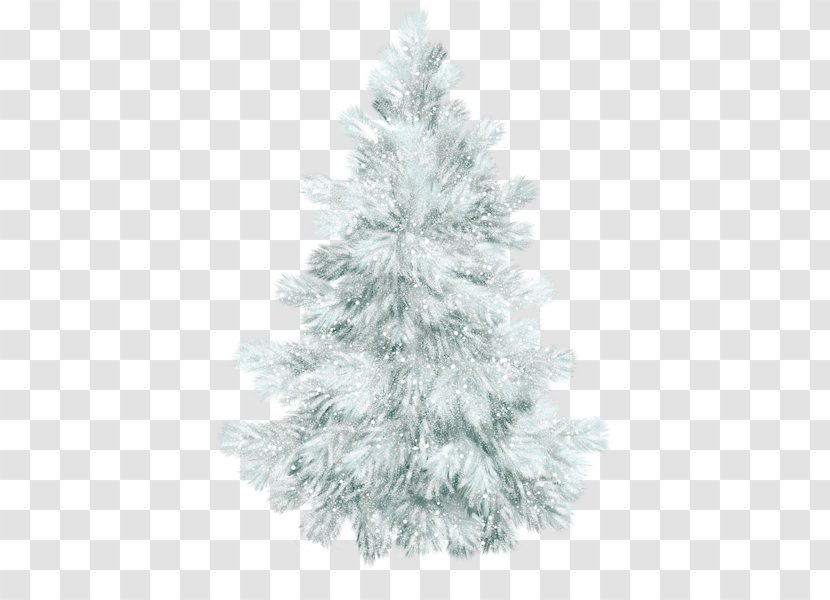 Spruce Christmas Ornament Fir Tree Pine Transparent PNG