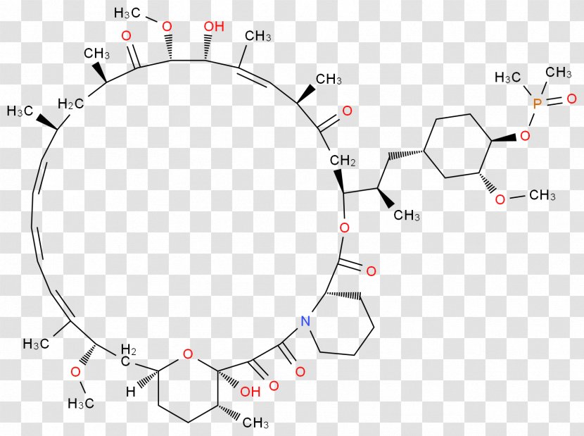 Product Design Drawing Circle - Watercolor Transparent PNG