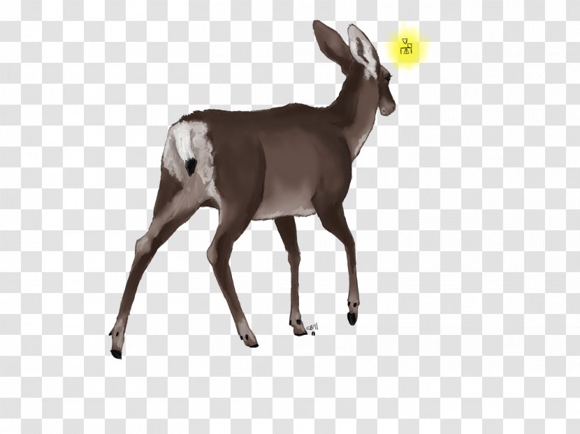 Reindeer Antelope White-tailed Deer Goat - Whitetailed - Watercolor Transparent PNG