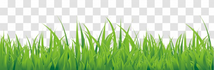 Green Hand Painted Small Grass Border Texture - Herbaceous Plant Transparent PNG