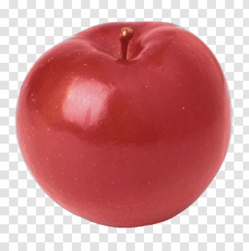 Apple Fruit Tree Pome Nutrition - Slice Transparent PNG