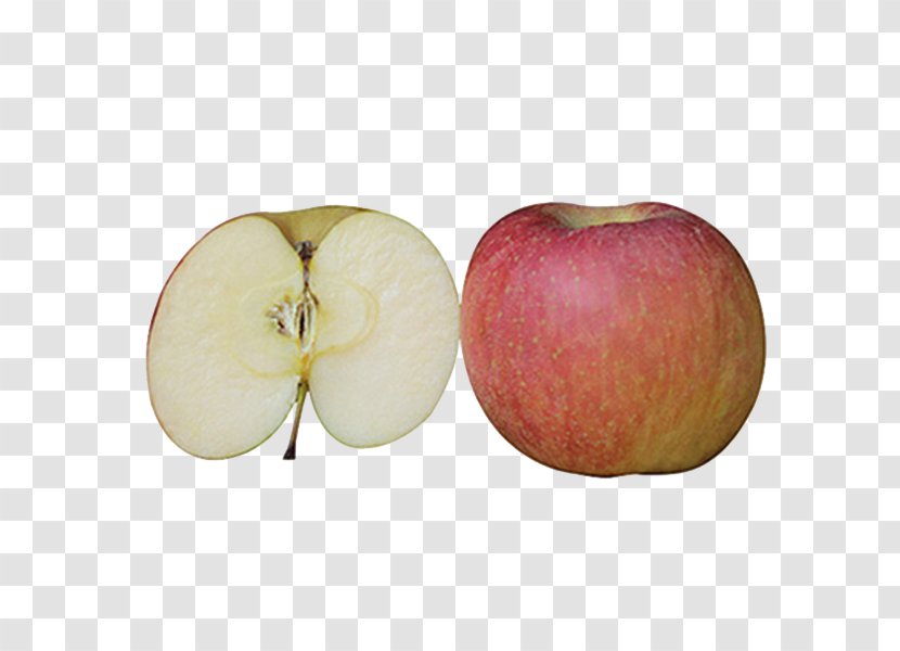 Apple Auglis Download - Cut In Half Transparent PNG