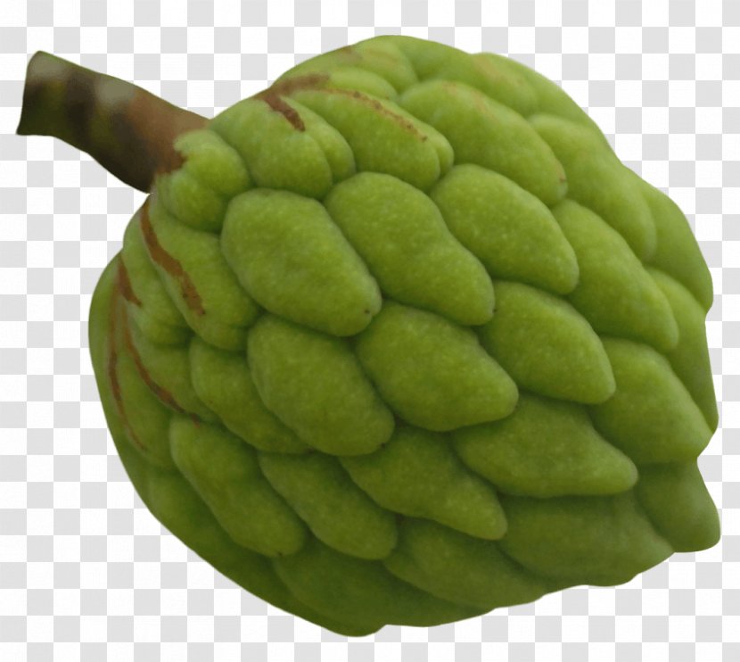 Custard Sugar-apple Cherimoya Vegetarian Cuisine - Sugar - Apple Transparent PNG