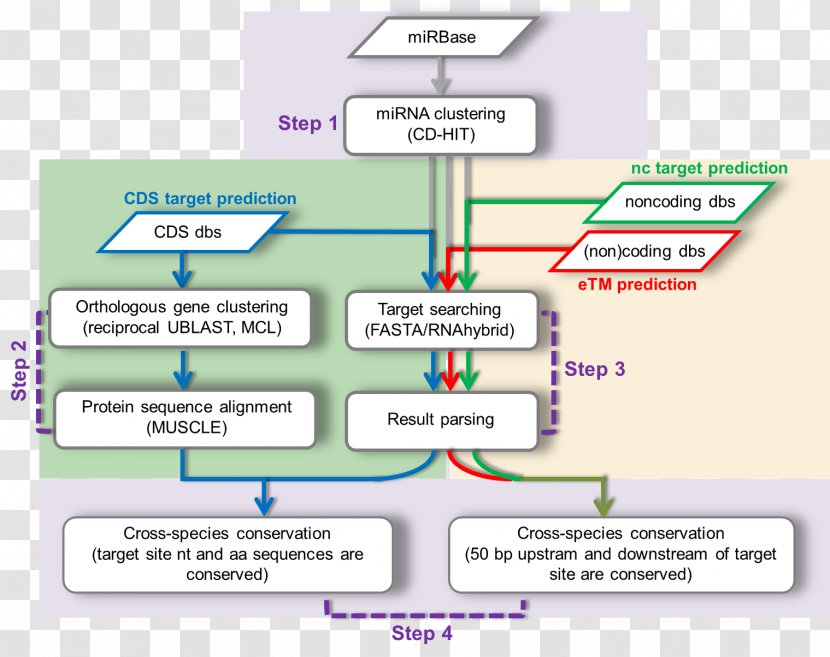 Diagram Product Learning Line Transparent PNG