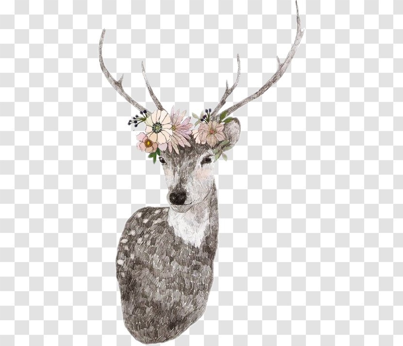 White-tailed Deer Seneca White Reindeer Wallpaper - Floral Transparent PNG