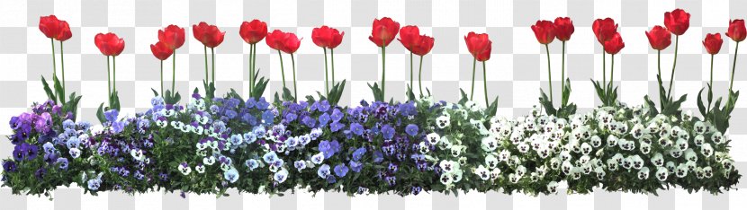 Flower Computer File - Floristry - Tulip Lace Transparent PNG