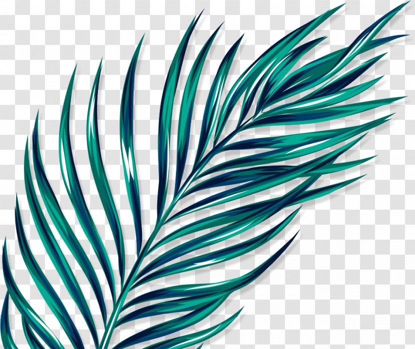 Leaf Line Turquoise Transparent PNG