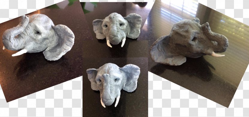 Fauna Fur Snout - Rabbit - Elephant Head Transparent PNG