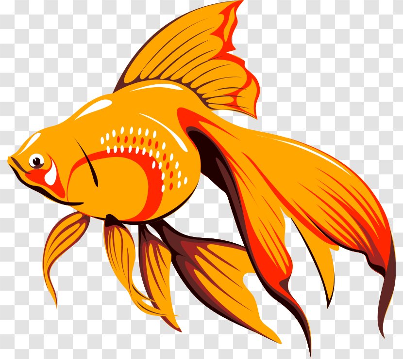 Veiltail Fish Free Content Clip Art - Gold Clipart Transparent PNG