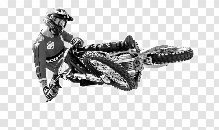 Freestyle Motocross X Games Red Bull X-Fighters Motorcycle - Wheel Transparent PNG