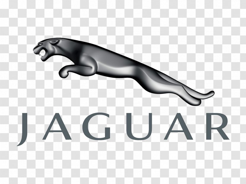 Jaguar Cars E-Type XK - Automotive Industry - Logo Transparent PNG