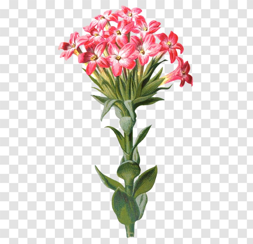 Floral Design Familiar Garden Flowers Nosegay Cut - Plant Stem - Flower Transparent PNG