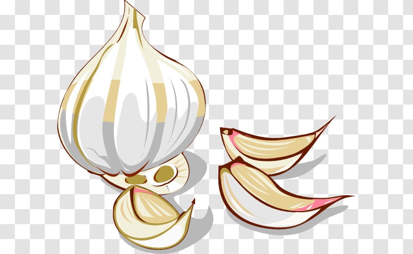 Garlic Onion Vegetable Clip Art Transparent PNG