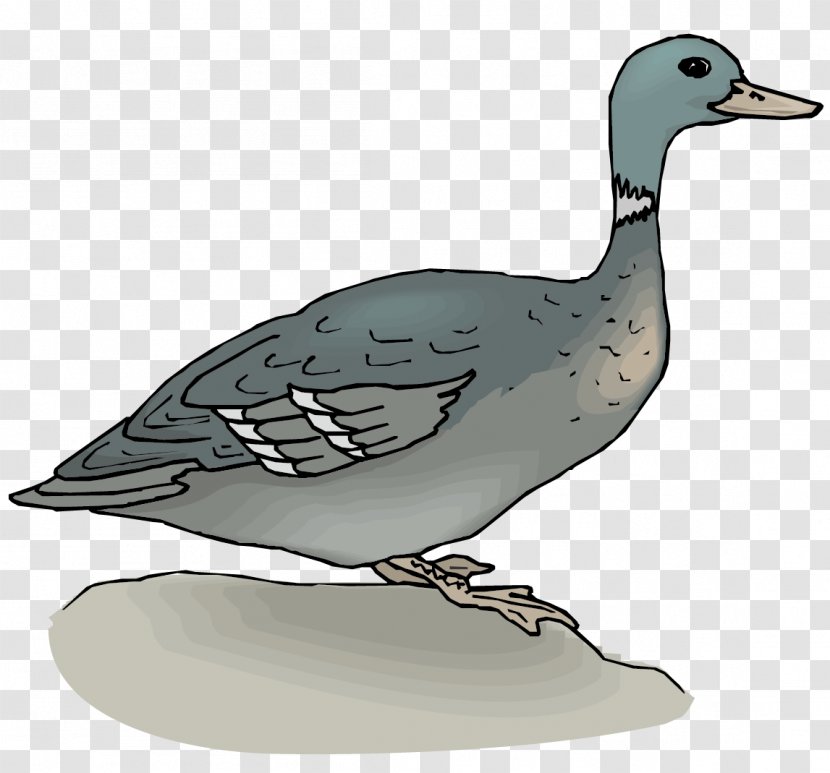Mallard Duck Goose Clip Art - Photography - Vector Gray Material Transparent PNG