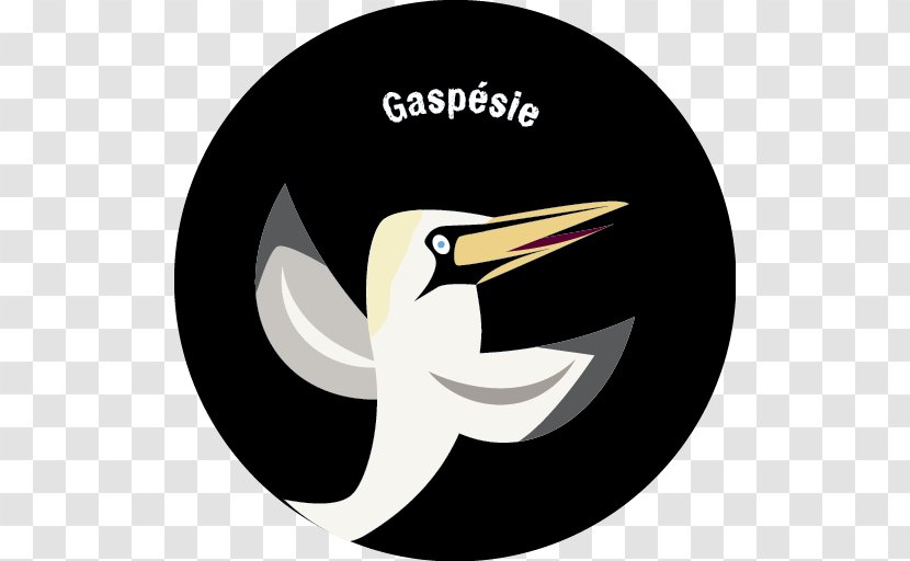 Tourism Logo Northern Gannet Text Illustration - Information - Fou De Bassan Transparent PNG