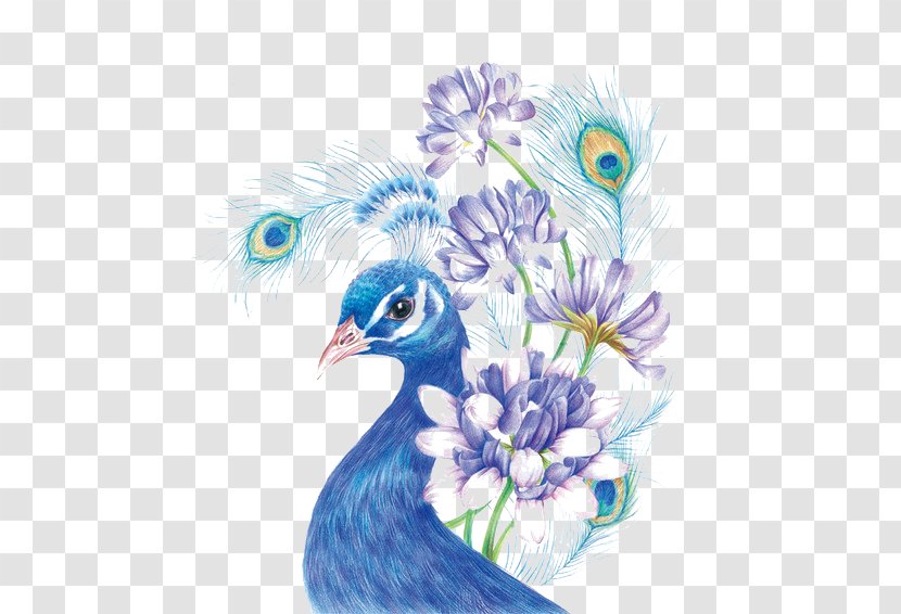 Drawing Colored Pencil Painting Sketch - Flower - Blue Peacock Transparent PNG