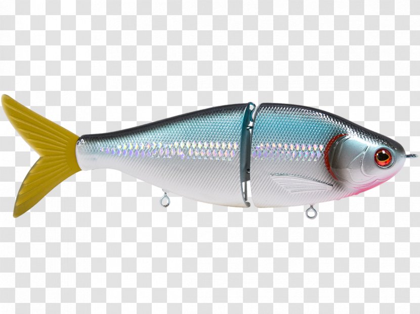 Sardine Spoon Lure Oily Fish Marine Biology Transparent PNG