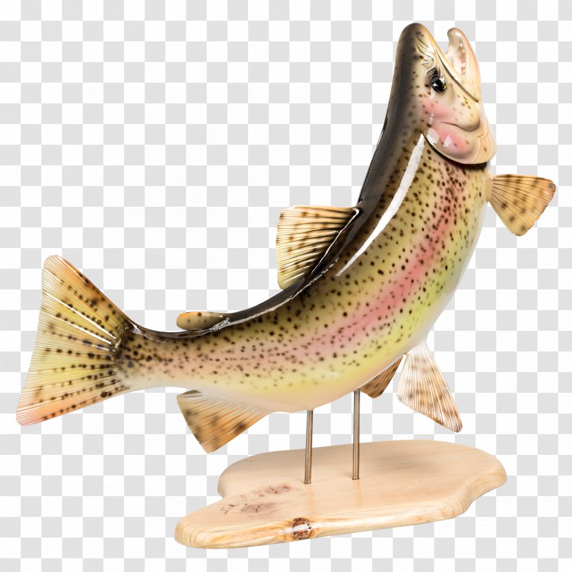 Fishing Brown Trout Europe - Fish Transparent PNG