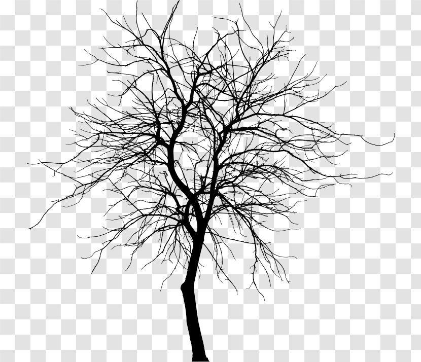 Twig Black And White Drawing Photography - Silhouette - Design Transparent PNG