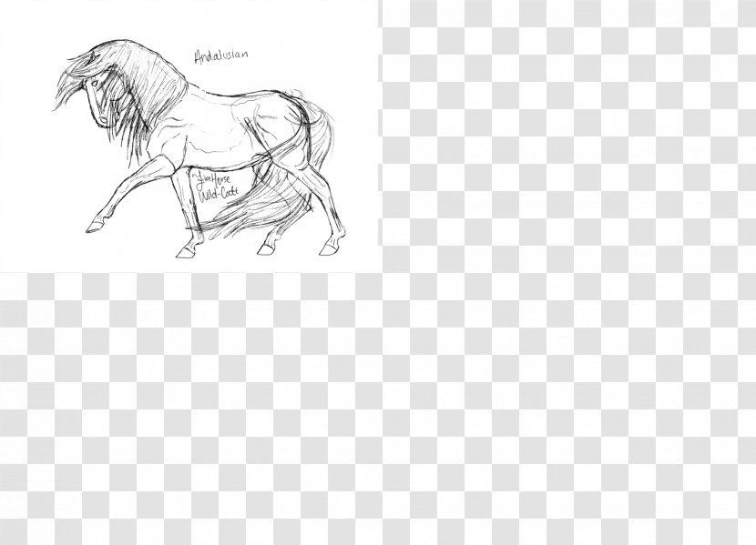 Horse Line Art Drawing Desktop Wallpaper Sketch - Cartoon Transparent PNG