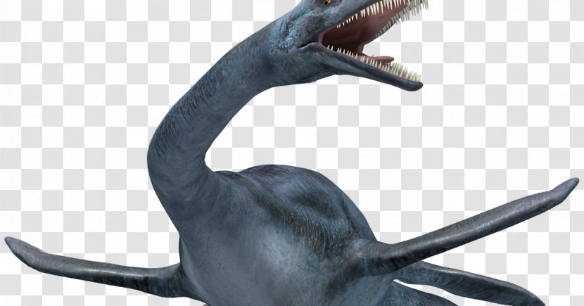 Loch Ness Monster Reptile Plesiosauria Sea - Beak Transparent PNG